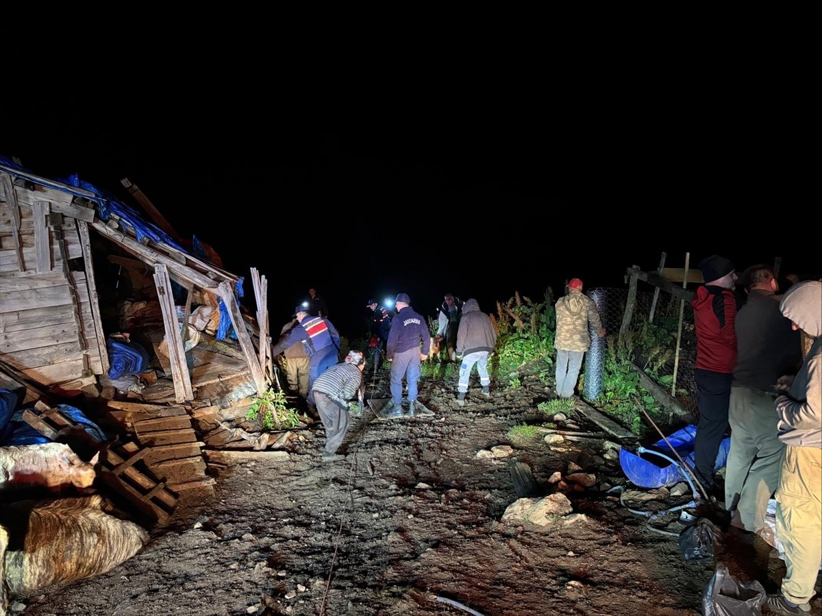  Artvin'in Borçka ilçesinde çöken ahırın enkazındaki 33 büyükbaş hayvan, AFAD ve jandarma...
