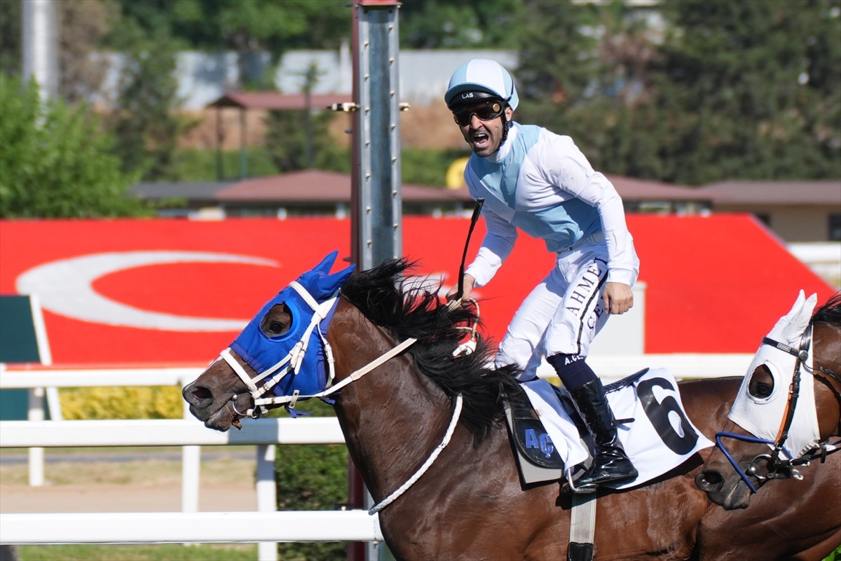 At yarışlarında 99. Gazi Koşusu'nu Hulusi Çil'in sahibi olduğu, jokeyliğini Ahmet Çelik'in yaptığı...