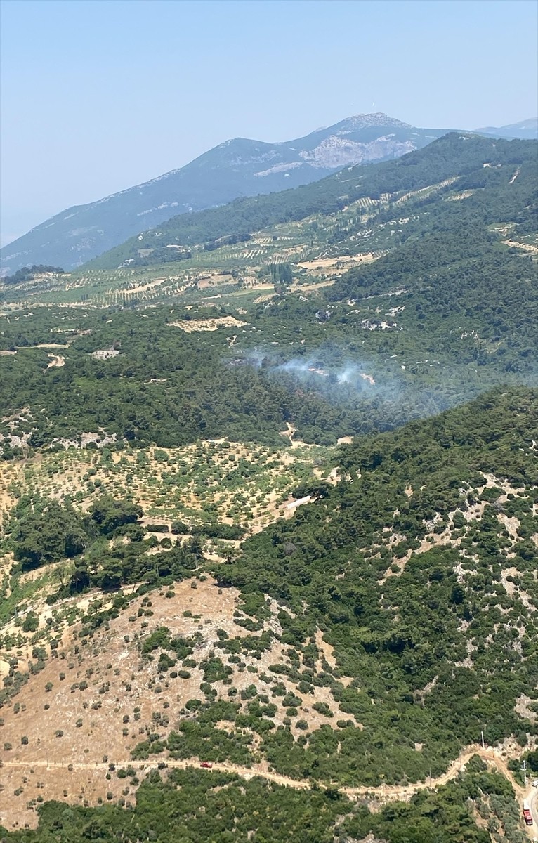 Aydın'ın Germencik ilçesinde çıkan orman yangınına havadan ve karadan müdahale ediliyor.
