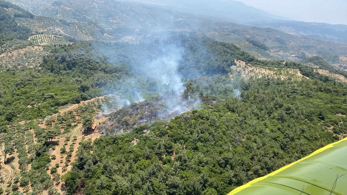 Aydın'ın Germencik ilçesinde çıkan orman yangınına havadan ve karadan müdahale ediliyor.