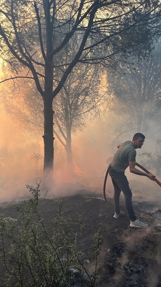 Aydın'ın Koçarlı ilçesinde çam fıstığı ağaçlarının bulunduğu kısımda çıkan yangında 2 hektarlık...