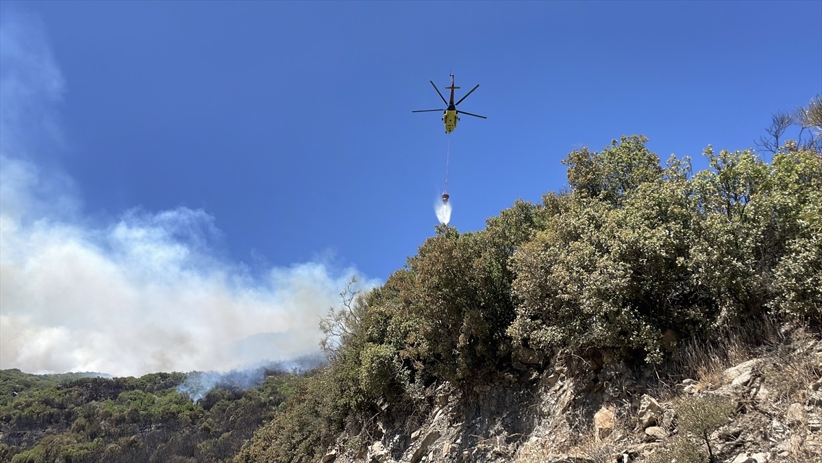 Aydın'ın Sultanhisar ilçesinde ziraat alanında çıkan yangına müdahale ediliyor.