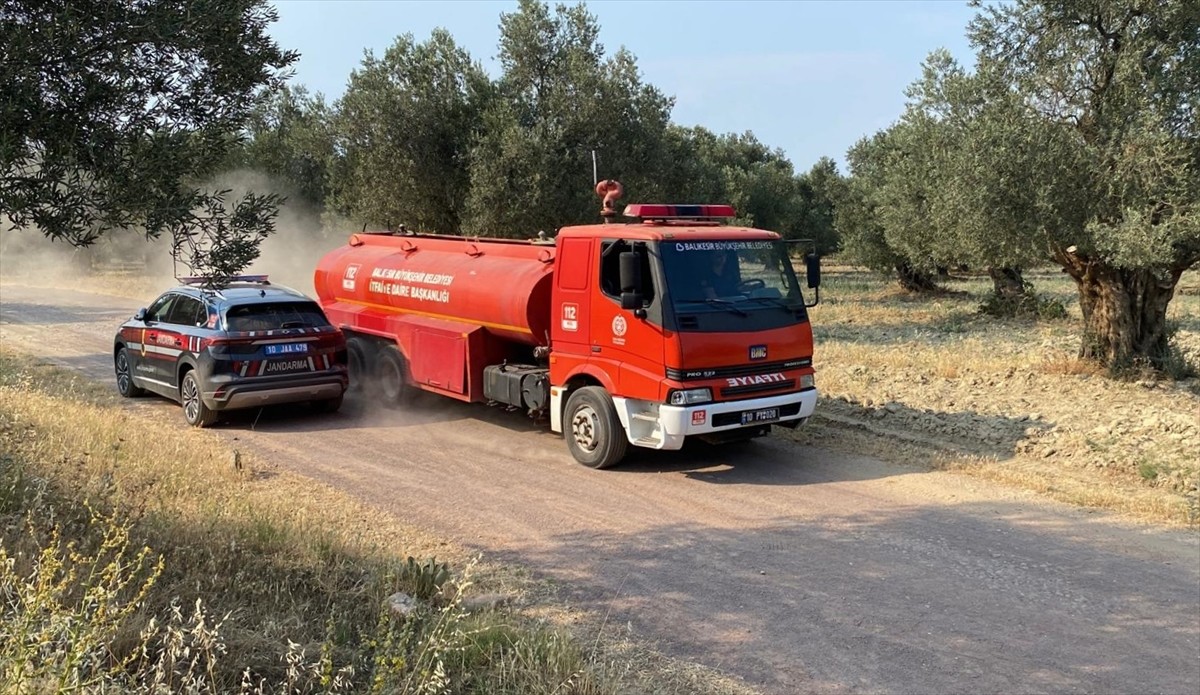 Balıkesir'in Ayvalık ilçesinde zeytinlik alanda çıkan yangın, havadan ve karadan müdahaleyle...
