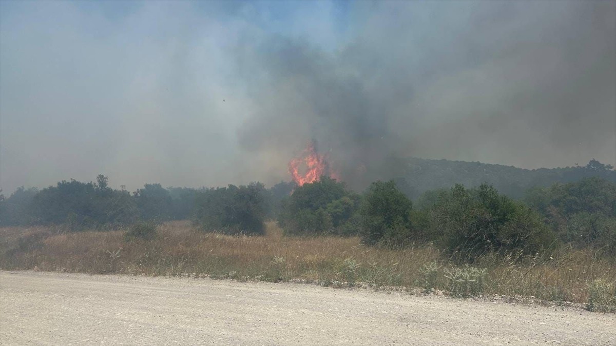 Balıkesir'in İvrindi ilçesinde çıkan orman yangını kontrol altına alındı.