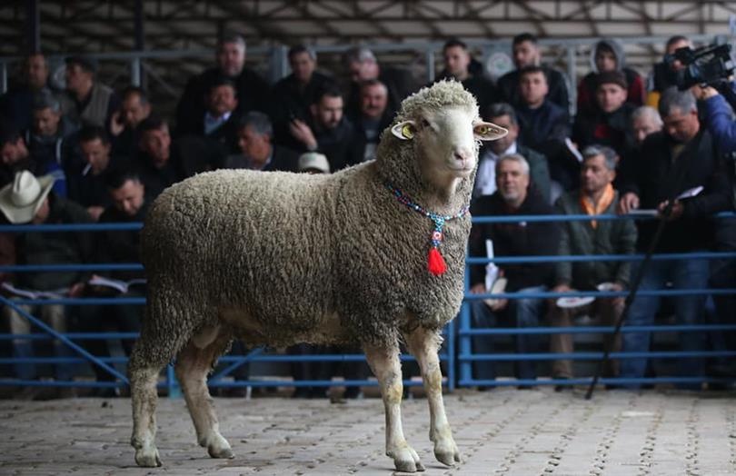 Bayram öncesi Kocaeli’nde açıklandı! Koç desteği başladı 