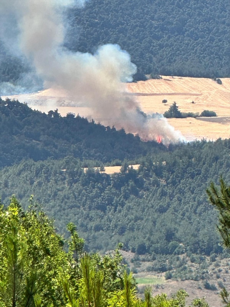  Bilecik'in Osmaneli ilçesindeki orman yangını ekiplerce söndürülmeye çalışılıyor.