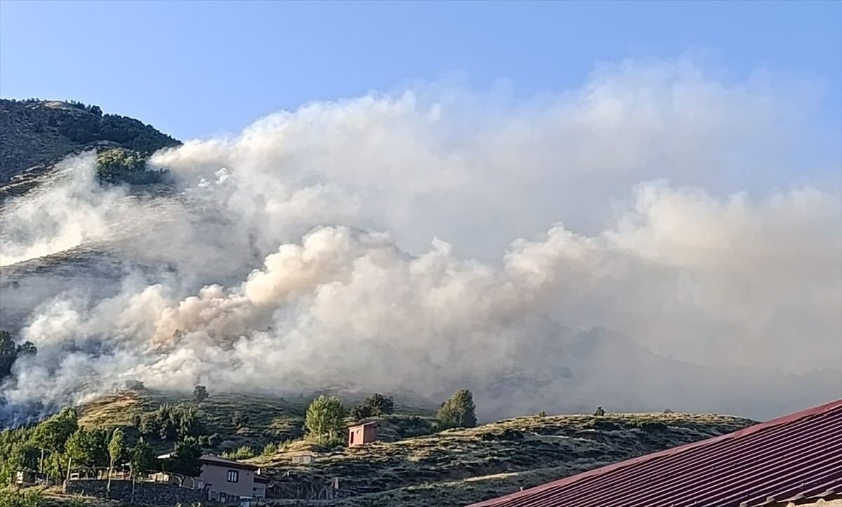 Bingöl'ün Genç ilçesinde ormanlık alanda çıkan yangın kontrol altına alındı.