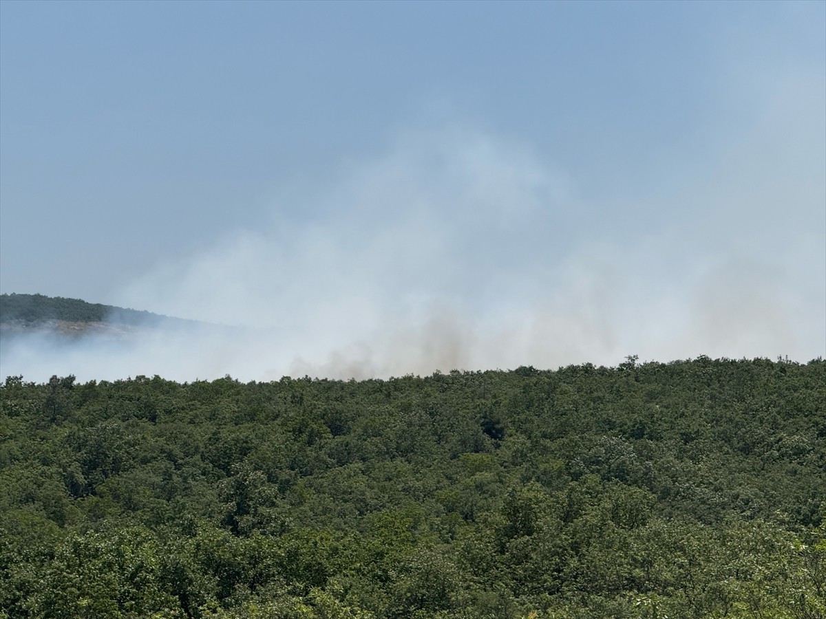Bursa'nın Nilüfer ilçesinde çıkan orman yangınına havadan ve karadan müdahale ediliyor.