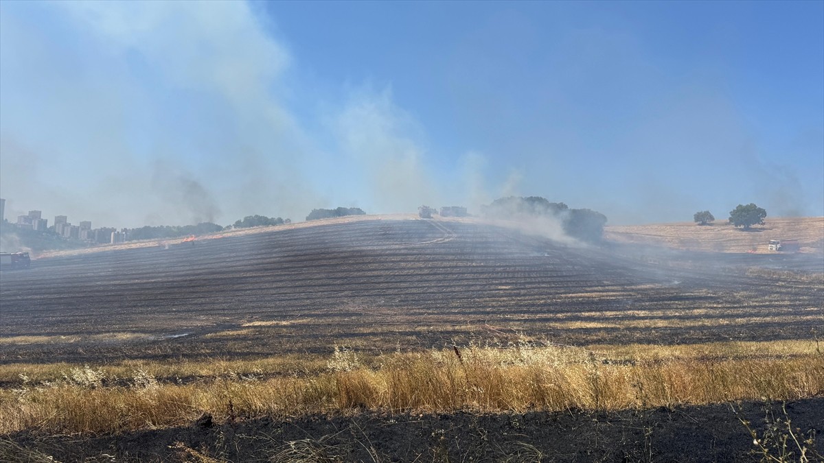 Bursa'nın Osmangazi ilçesinde çıkan anız yangını söndürüldü.
