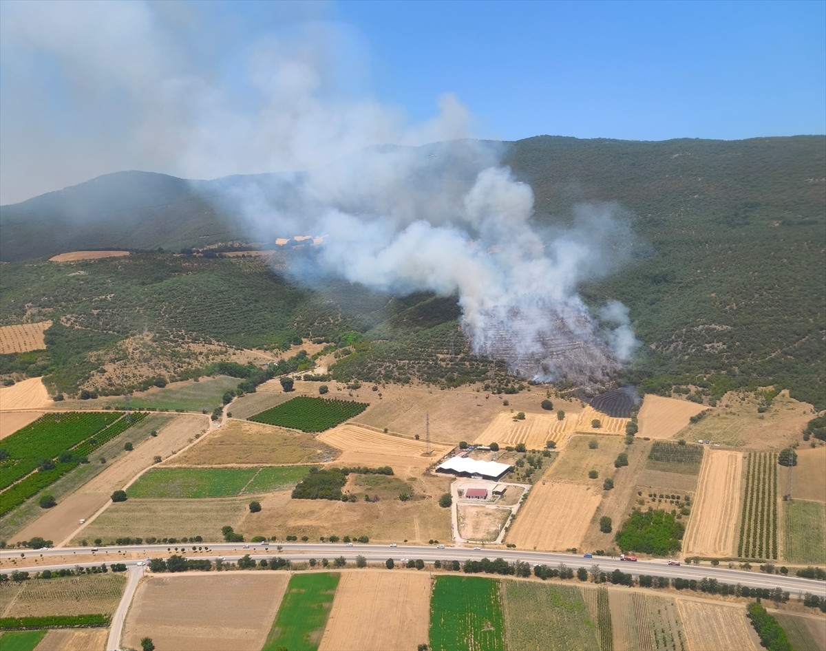 Bursa'nın Yenişehir ilçesinde çıkan orman yangını havadan ve karadan müdahaleyle kontrol altına...