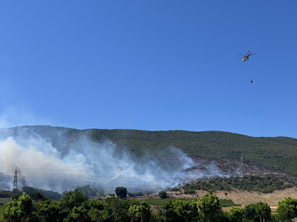 Bursa'nın Yenişehir ilçesinde çıkan orman yangını havadan ve karadan müdahaleyle kontrol altına...