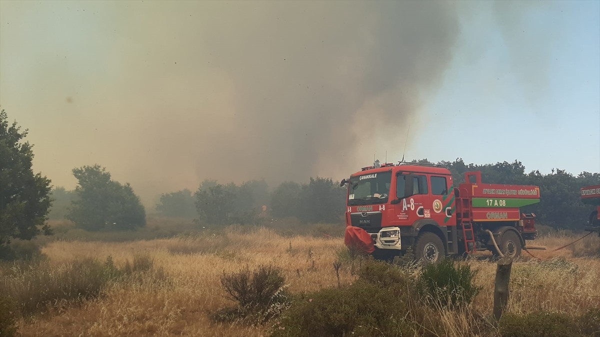 Çanakkale Ezine ilçesinde tarım arazisinde çıkan yangına havadan ve karadan müdahale...