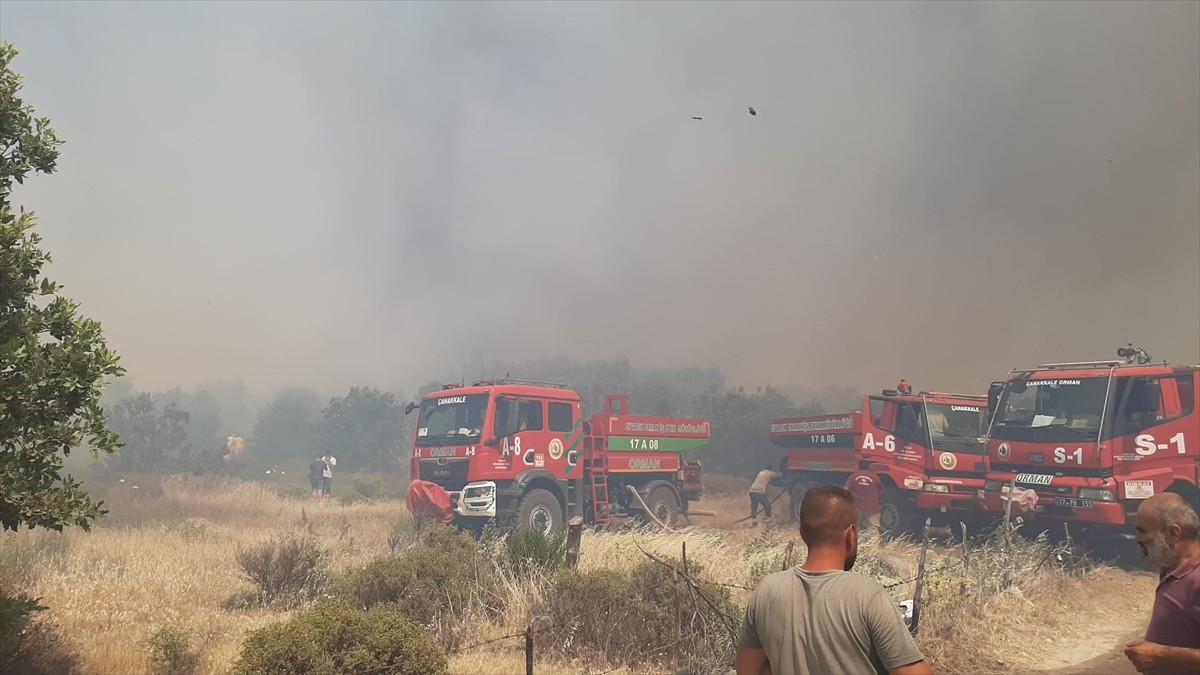 Çanakkale Ezine ilçesinde tarım arazisinde çıkan yangına havadan ve karadan müdahale...
