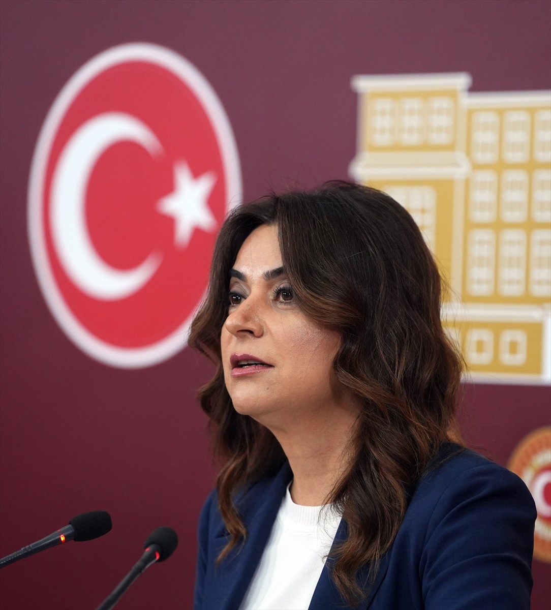 DEM Parti Grup Başkanvekili Gülistan Kılıç Koçyiğit, TBMM'de basın toplantısı düzenledi.