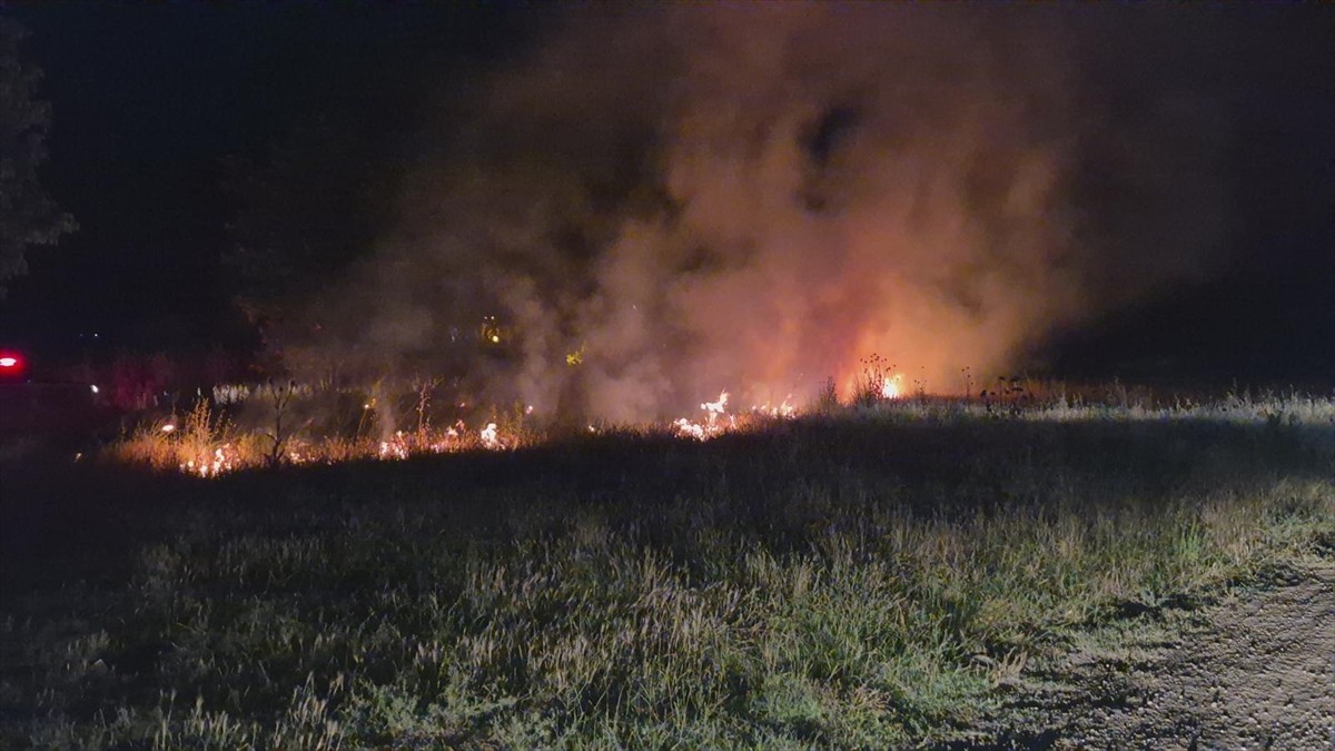Edirne'de Tunca Nehri kenarındaki otluk alanda çıkan yangın, itfaiye ekiplerinin müdahalesiyle...