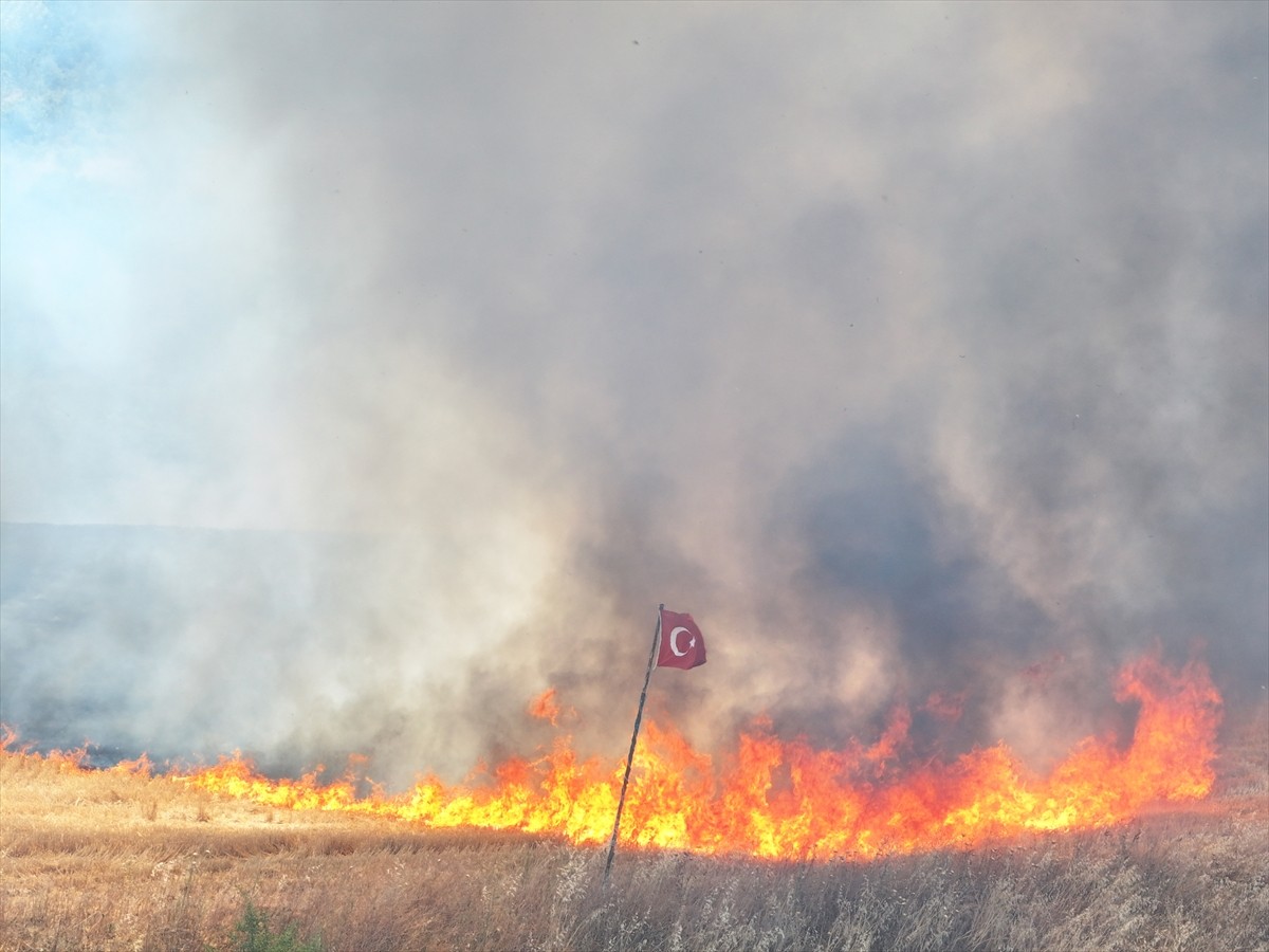 Edirne'nin Lalapaşa ilçesinde balya yüklü römorktan tarım arazilerine sıçrayan yangın kontrol...
