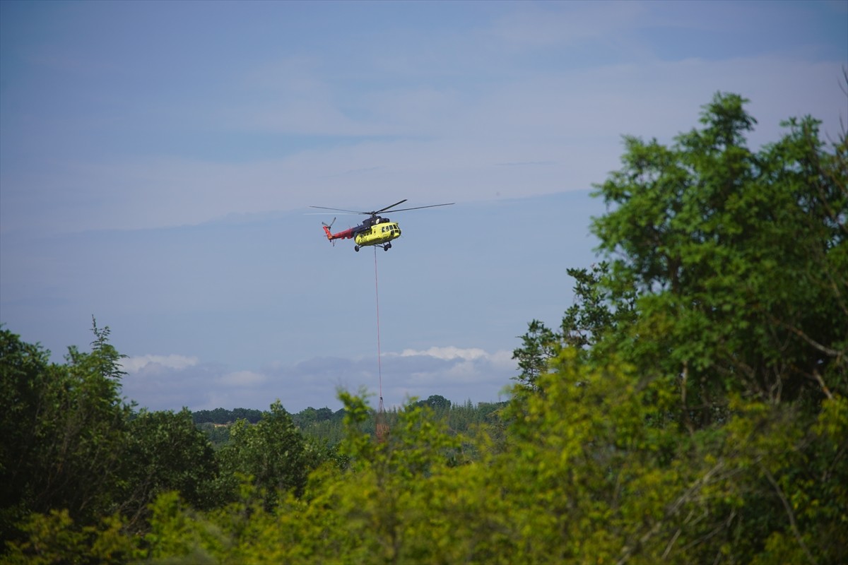Edirne'nin Lalapaşa ilçesinde çıkan orman yangınına havadan ve karadan müdahale ediliyor.
