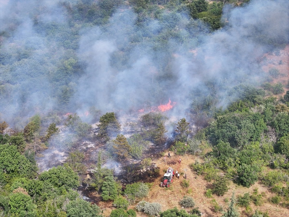 Edirne'nin Lalapaşa ilçesinde çıkan orman yangınına havadan ve karadan müdahale ediliyor.