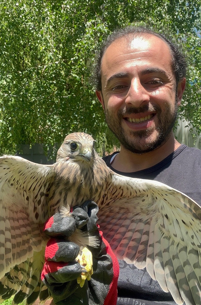  Erzurum'da bitkin halde bulunan kerkenez, bakımı ve beslenmesinin ardından doğaya bırakıldı.
