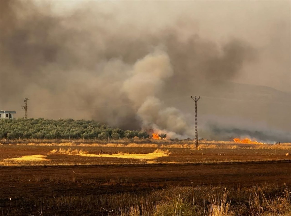Gaziantep'in Araban ilçesinde buğday ekili yaklaşık 500 dönümlük alanda çıkan yangına itfaiye...