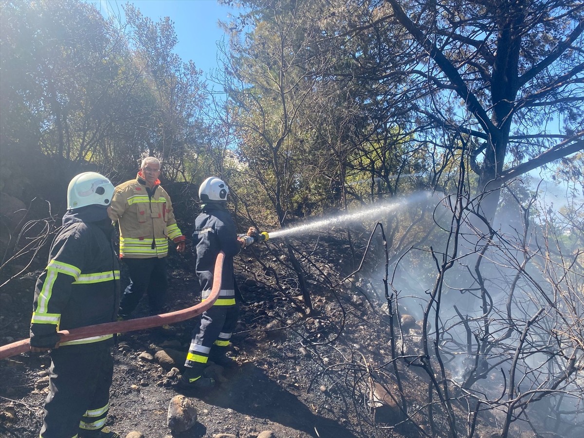 Hatay'ın Arsuz ilçesinde ormanlık alanda çıkan yangın ekiplerin müdahalesiyle söndürüldü.