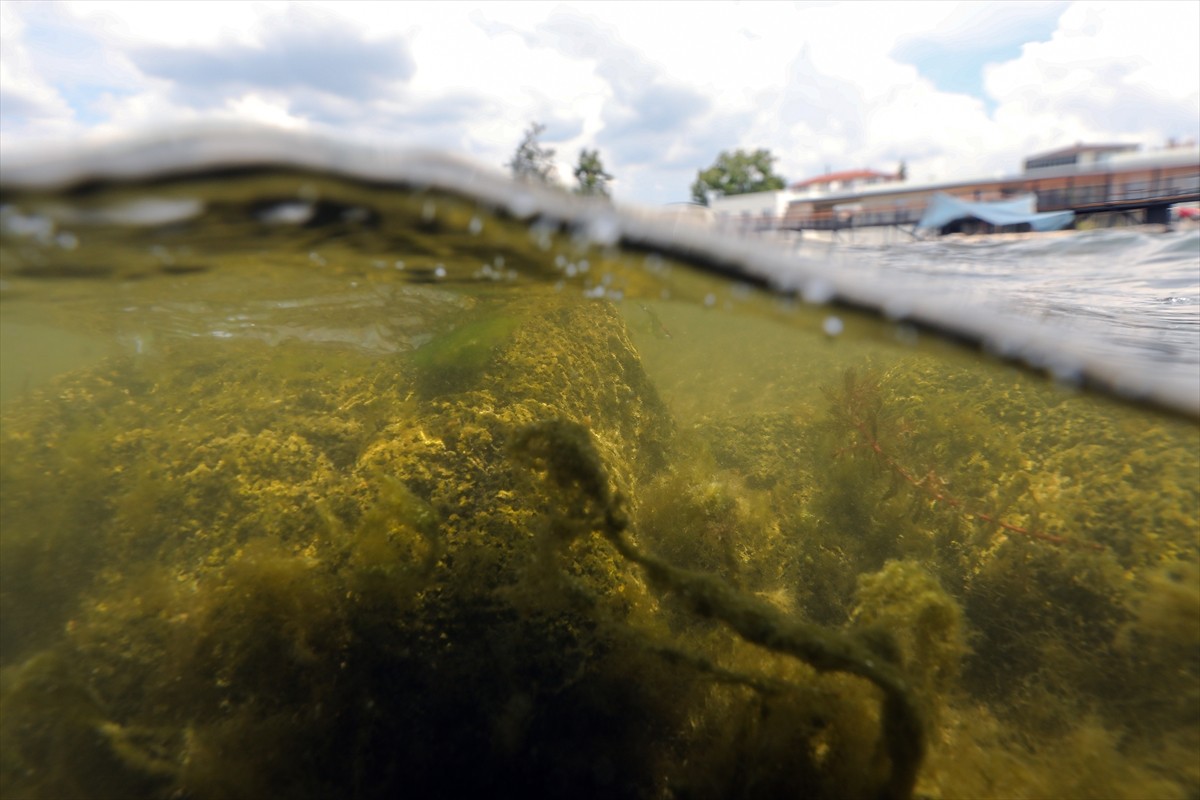 İmparator I. Konstantin'in çağrısıyla Hristiyanlıkta kiliseye bağlı tüm piskoposların katılımıyla...