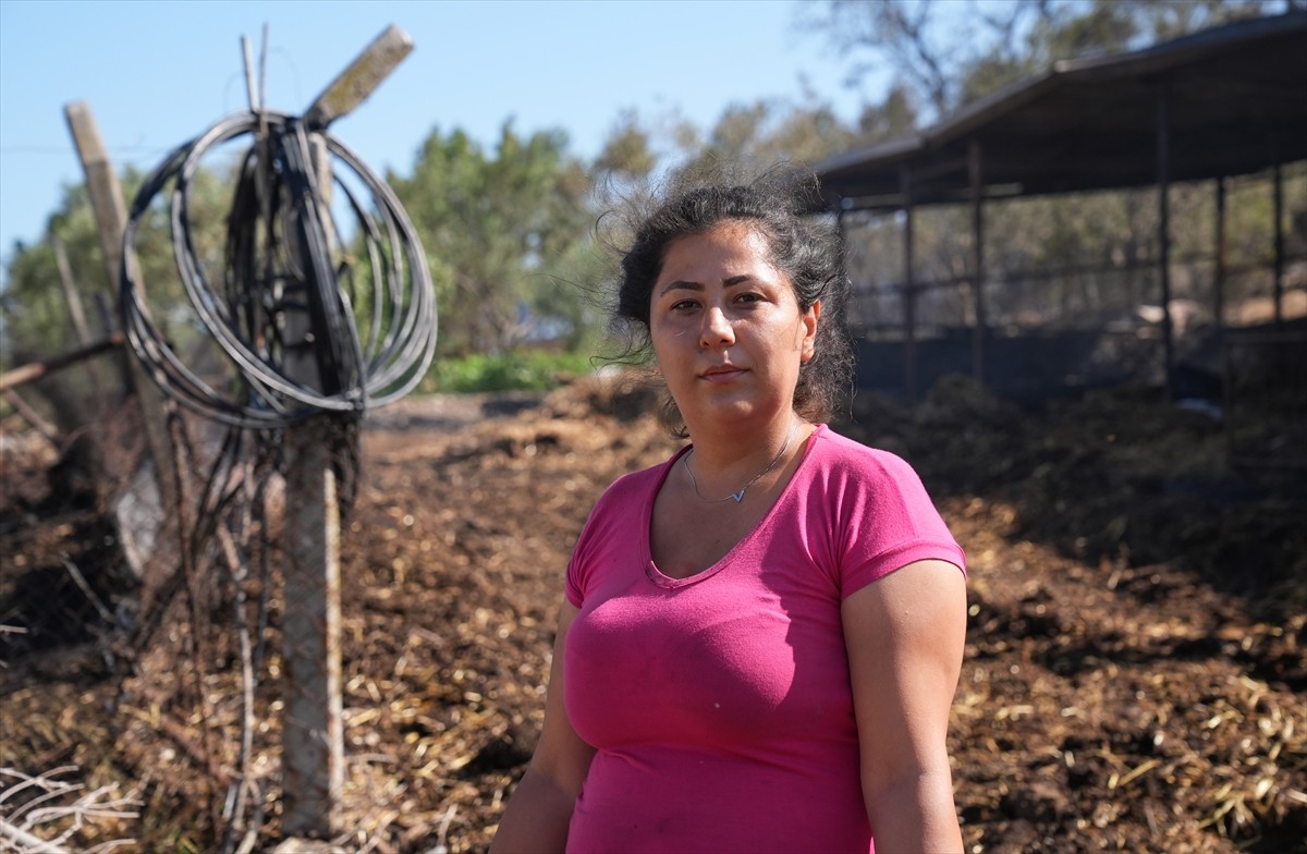 İzmir'de dün başlayan ve sabah saatlerinde kontrol altına alınan orman yangınında ev ve ağılları...