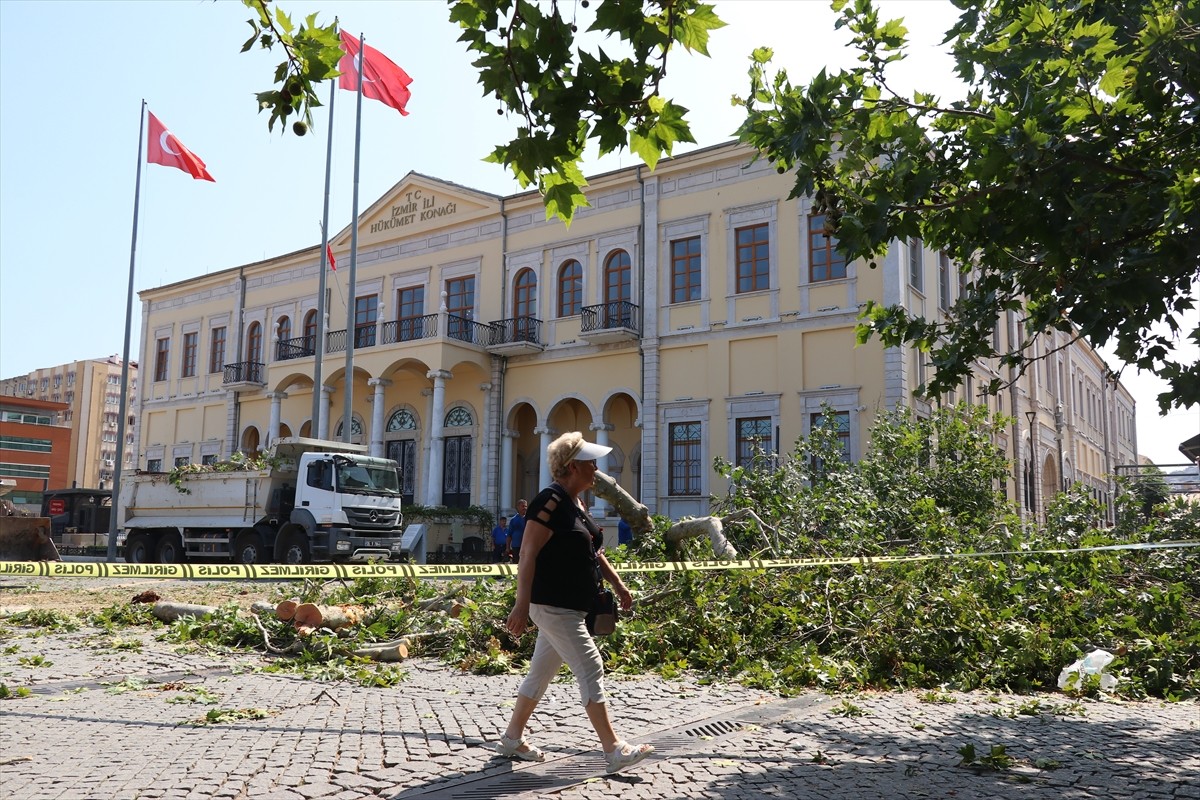 İzmir'de tarihi Kemeraltı Çarşısı'nın Konak Atatürk Meydanı'ndaki girişinde bulunan çınar ağacı...