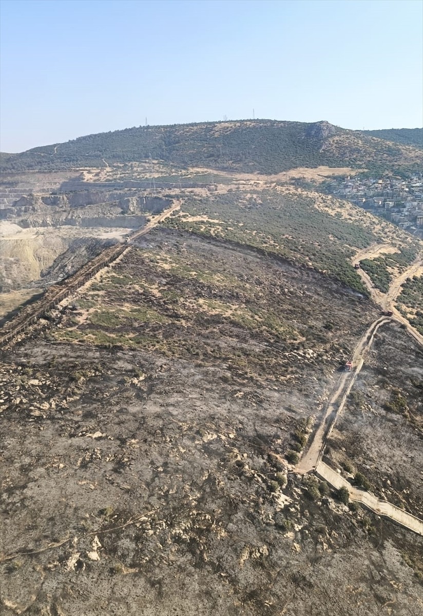 İzmir'in Bornova ilçesinde makilik alanda çıkan yangın, havadan ve karadan müdahaleyle kontrol...