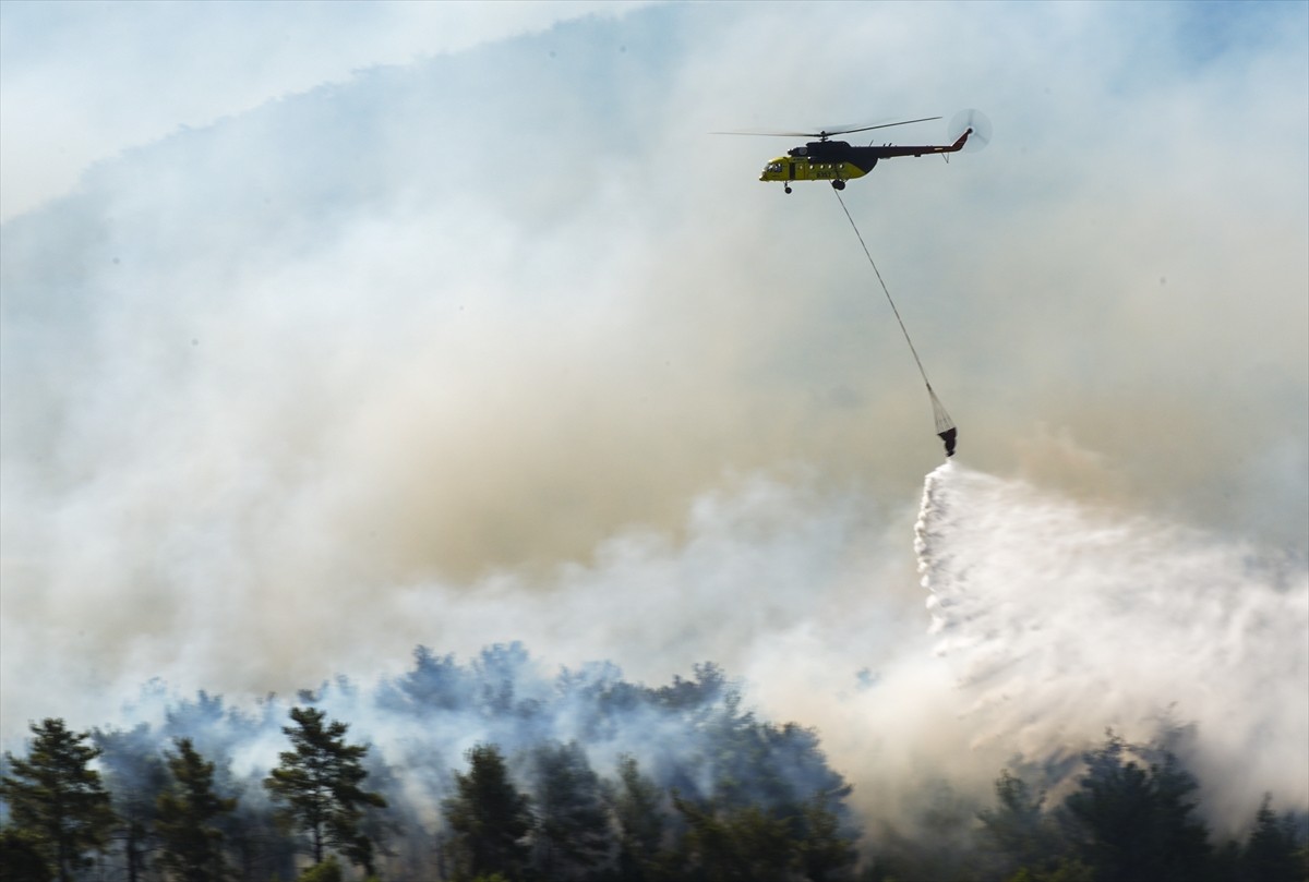 İzmir'in Menderes ilçelerinde çıkan orman yangınlarına havadan ve karadan müdahale devam...