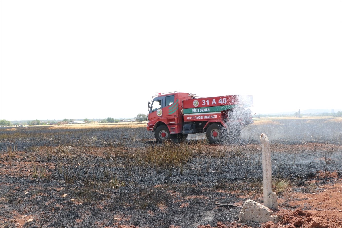 Kilis'te bir tarlada çıkan yangında, yaklaşık 150 dönüm buğday ekili alan zarar gördü.