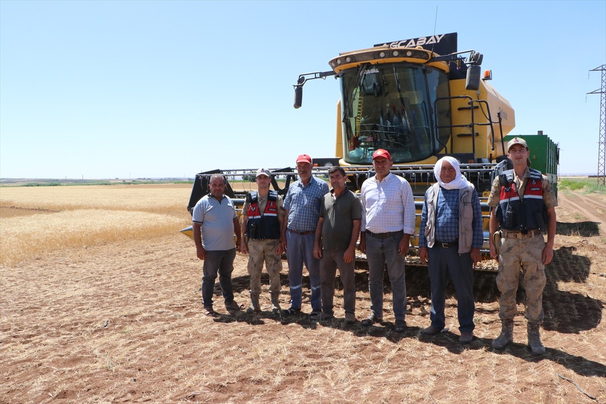 Kilis'te jandarma ekipleri, anız yangınlarına karşı dron destekli denetimde bulunuyor. Elbeyli...