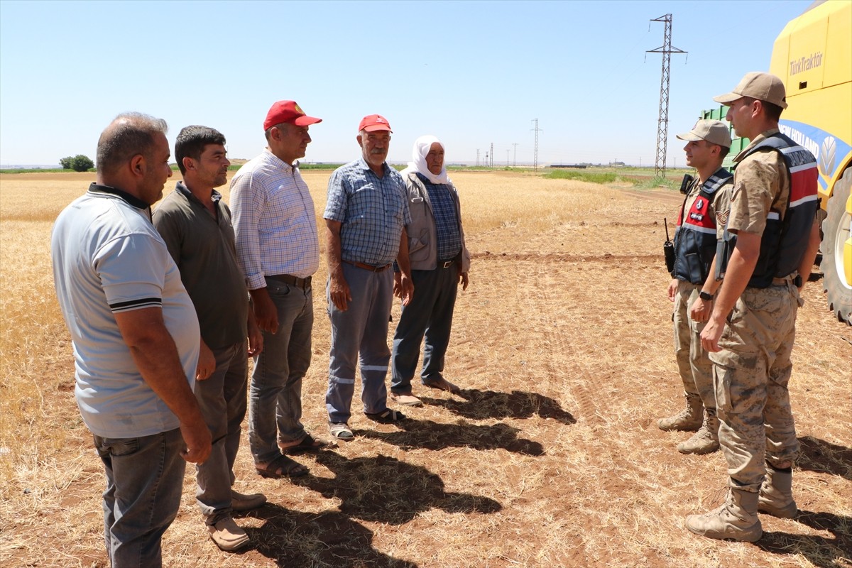 Kilis'te jandarma ekipleri, anız yangınlarına karşı dron destekli denetimde bulunuyor. Elbeyli...