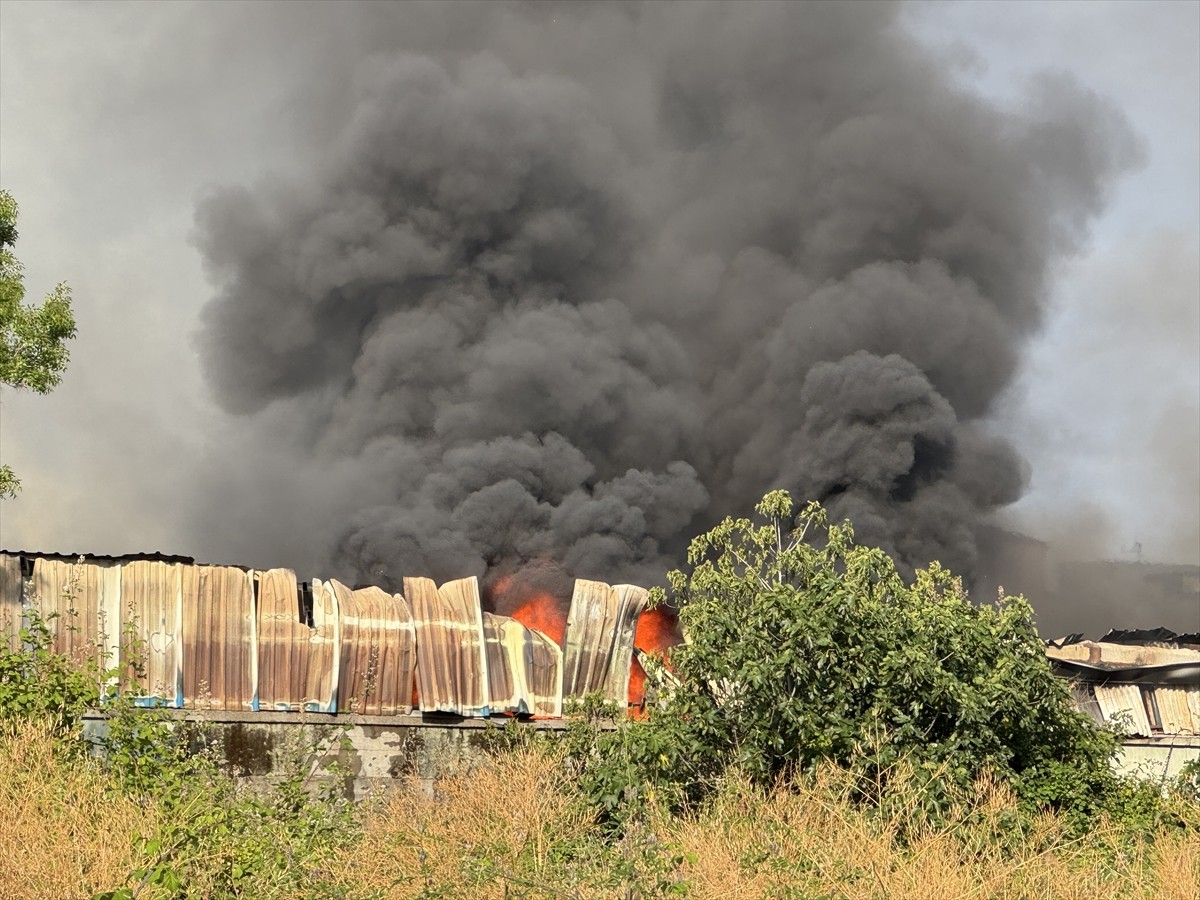 Kocaeli'nin İzmit ilçesinde bir tesisin depolama alanında çıkan yangın, ekiplerin müdahalesiyle...
