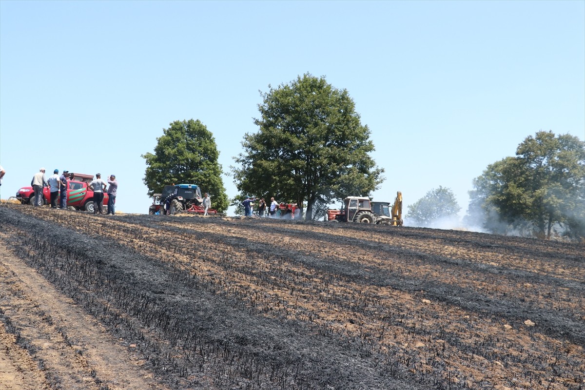 Kocaeli'nin İzmit ilçesinde çıkan yangında yaklaşık 150 dönüm tarım arazisi zarar gördü.