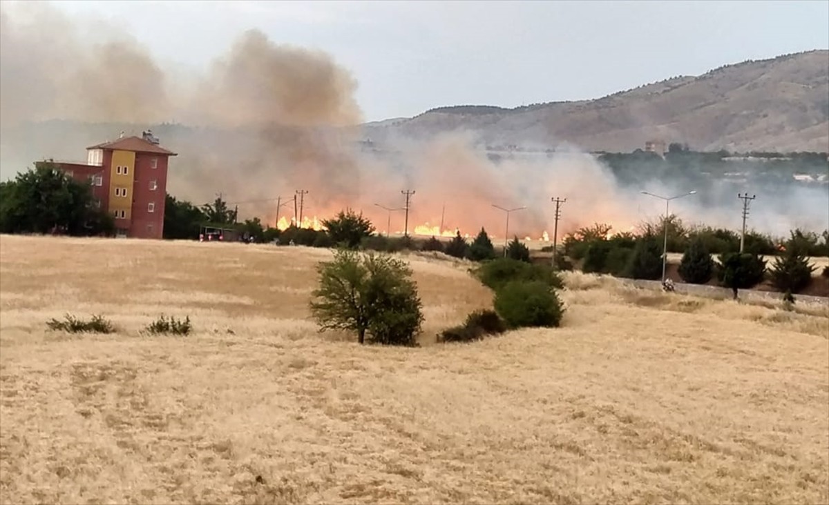 Malatya'nın Kale ilçesinde otluk alanda çıkan yangın itfaiye ekiplerince söndürüldü.