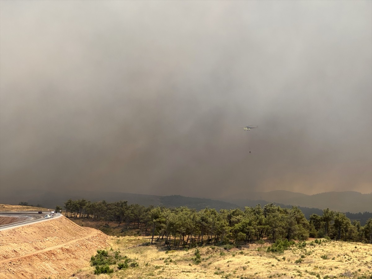 Manisa'nın Akhisar ilçesinde çıkan orman yangınına havadan ve karadan müdahale ediliyor. Bölgeye...