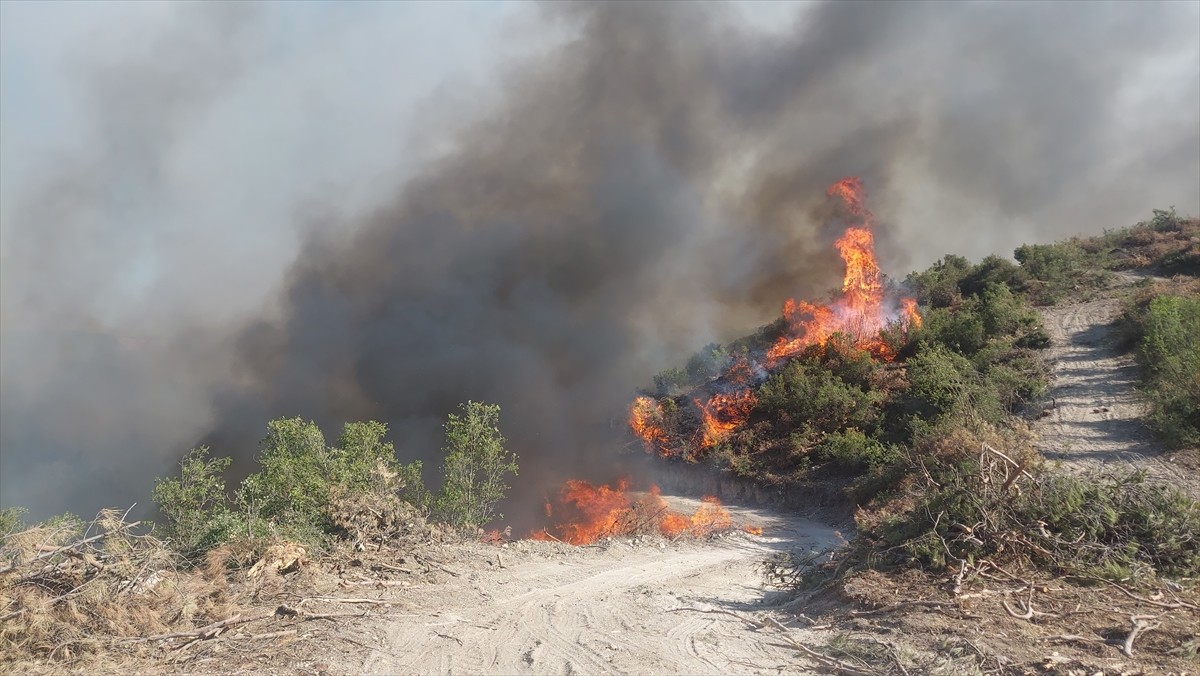 Manisa'nın Kula ilçesinde ormanlık alanda yangın çıktı.