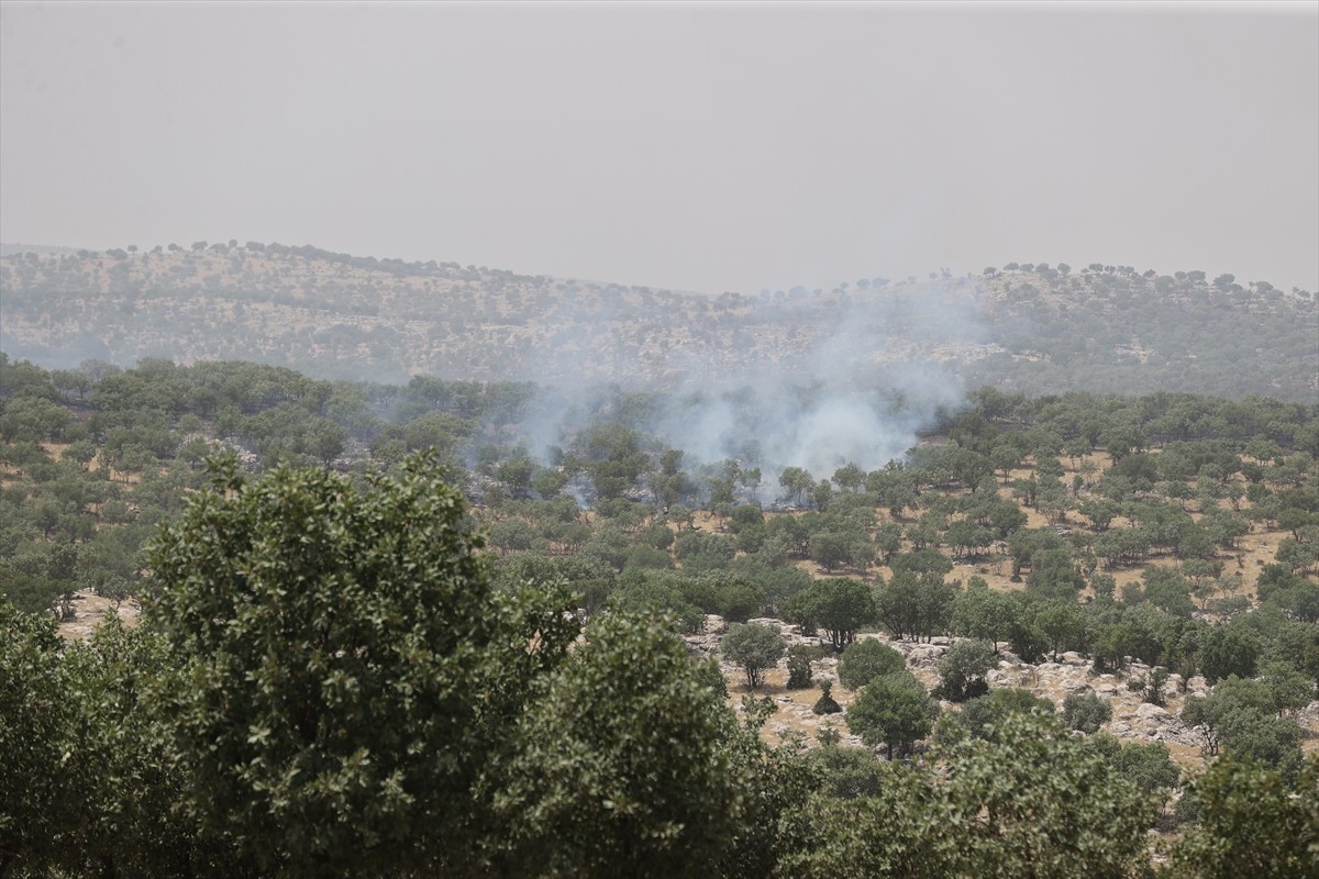 Mardin'in Mazıdağı ilçesinde, ormanlık alanda çıkan yangın kontrol altına alındı.