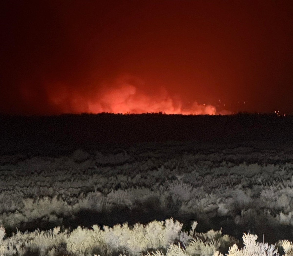 Mersin'in Silifke ilçesindeki Göksu Deltası'nda yangın çıktı. Çevredekilerin ihbarı üzerine...