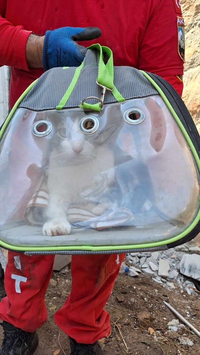 Muğla'nın Bodrum ilçesinde, apartmanın duvar boşluğunda mahsur kalan kedi, ekiplerin çalışması...
