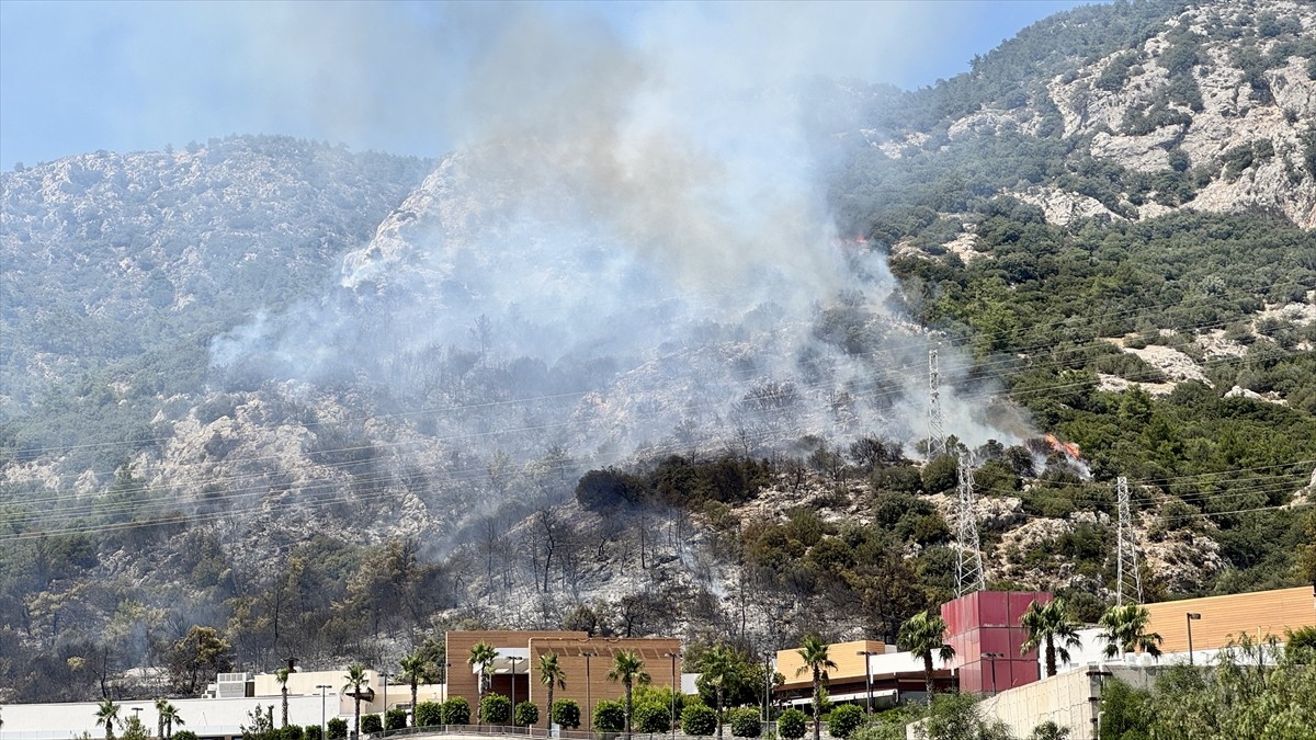 Muğla'nın Bodrum ilçesinde çıkan orman yangını, havadan ve karadan müdahaleyle kontrol altına...