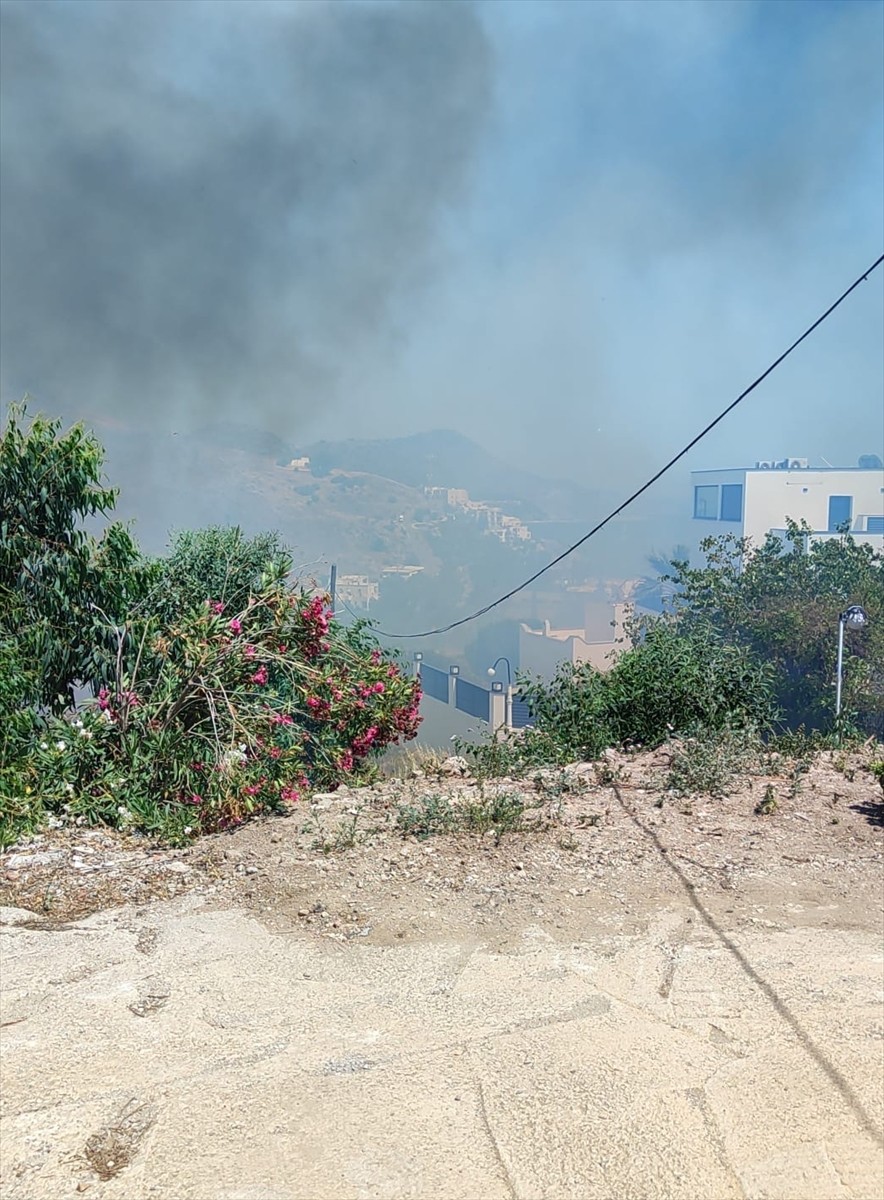 Muğla'nın Bodrum ilçesinde makilik ve otluk alanda çıkan yangın söndürüldü.