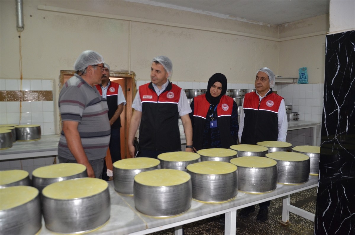 Muş'ta girişimci 5 kardeşin kurduğu tesiste üretilen eski kaşar peyniri, ülkenin dört yanına...