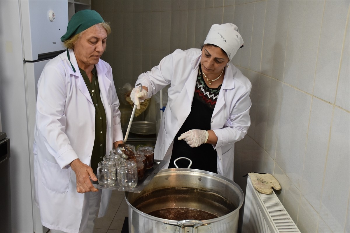 Ordu'da, kooperatif çatısı altında üretim yapan kadınların yöresel lezzetlerle kazanç sağladığı...