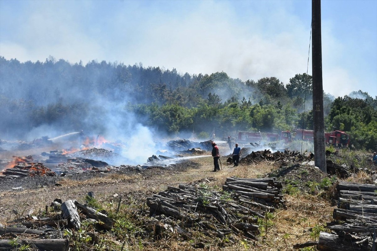 Sakarya'nın Söğütlü ilçesinde orman işletme deposunda çıktıktan sonra ağaçlık alana sıçrayan...