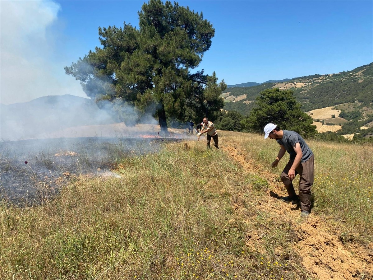  Sakarya'nın Taraklı ilçesindeki ormanlık alanda çıkan yangın söndürülmeye çalışılıyor. İhbar...