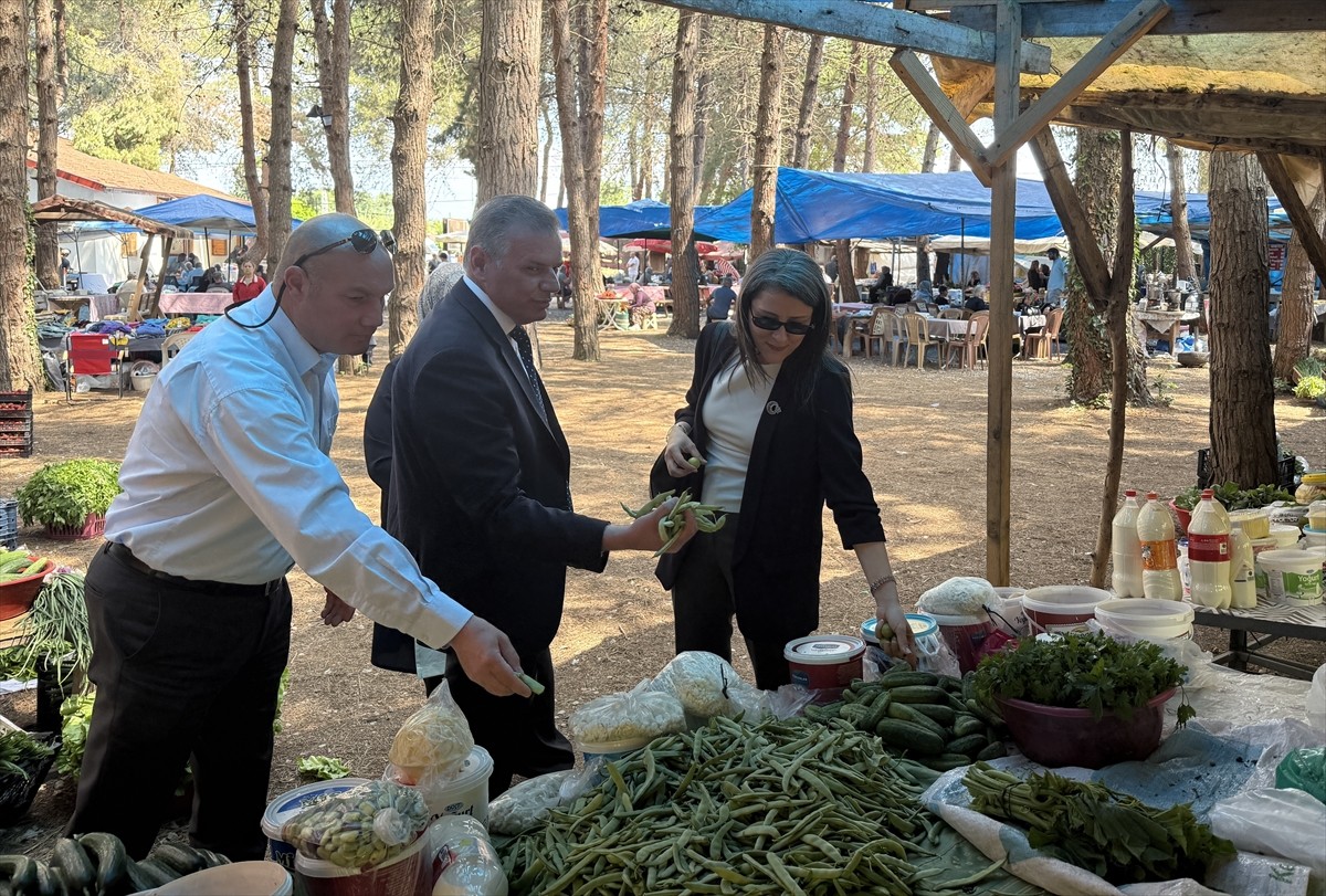 Samsun'un Alaçam ilçesinde tarım alanında üretim yapan kadınların çalışmalarını anlatan tanıtım...