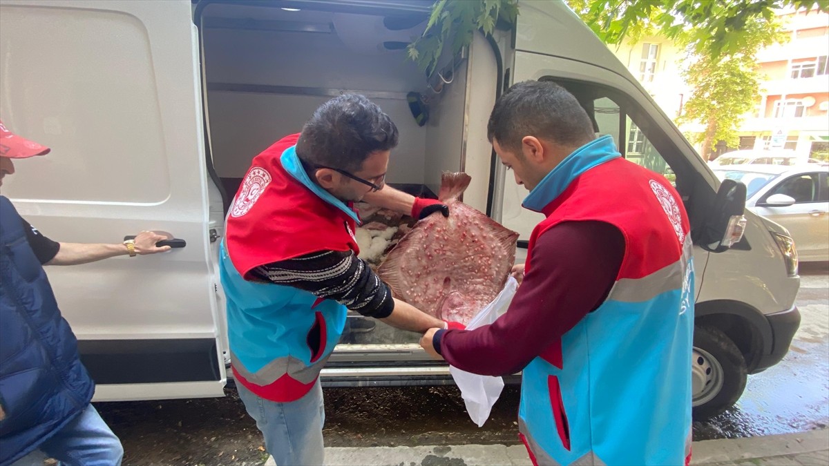 Sinop'ta yasa dışı avlandığı tespit edilen 363 kalkan balığı, vatandaşlara ücretsiz...