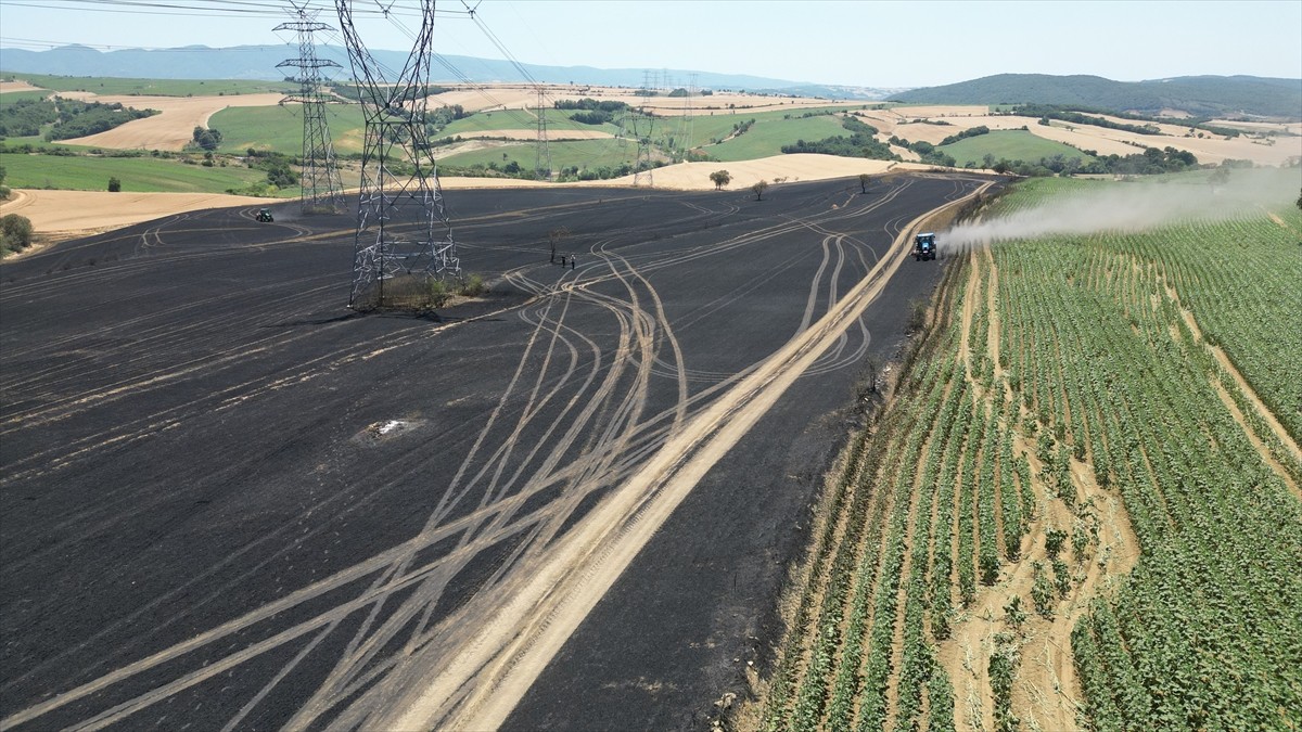 Tekirdağ'da 2 farklı yangında 340 dekar buğday ekili alan yandı.